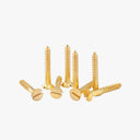 Brass Screws